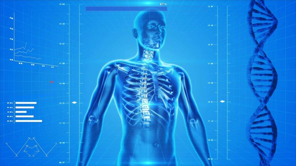 Imagem de PublicDomainPictures por Pixabay 10 Curiosidades Sobre o Corpo Humano Que Parecem Ficção Científica
